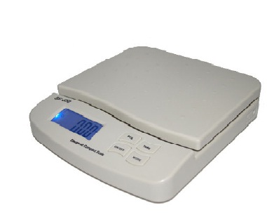 Heavy Duty Platform Scale